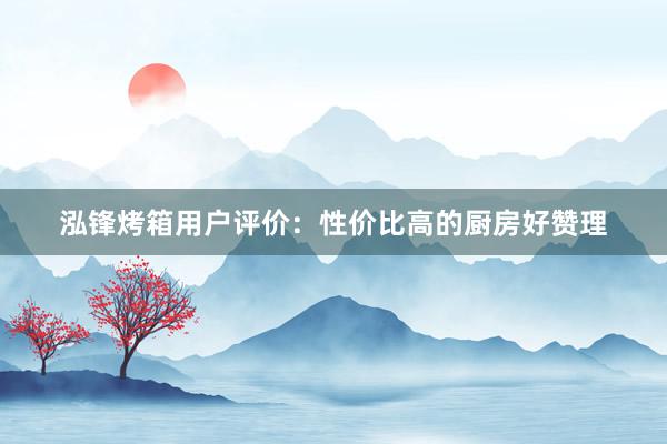 泓锋烤箱用户评价：性价比高的厨房好赞理